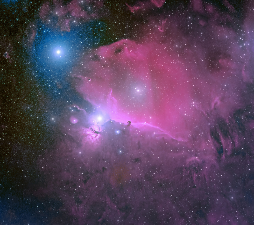 Horsehead Nebula in HSO Telescope Live